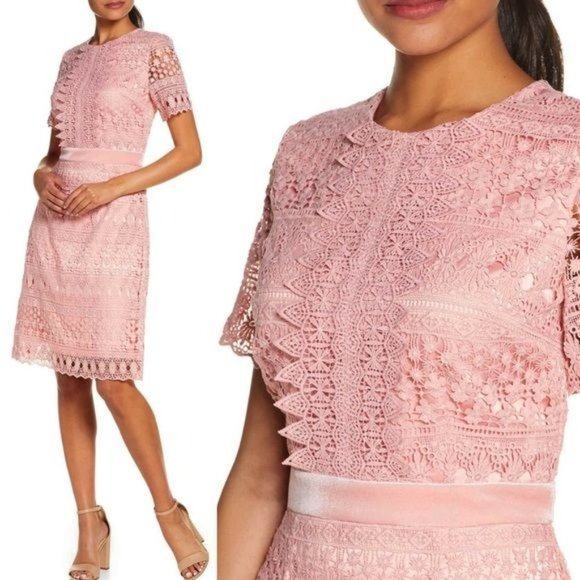 Rachel Parcell Lace Bodice, Velvet Waist Lined Midi Pencil Dress, Pink Bride, S - Picture 1 of 10